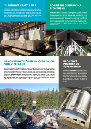 Witkowitz newsletter 2025-03 4xA44.png