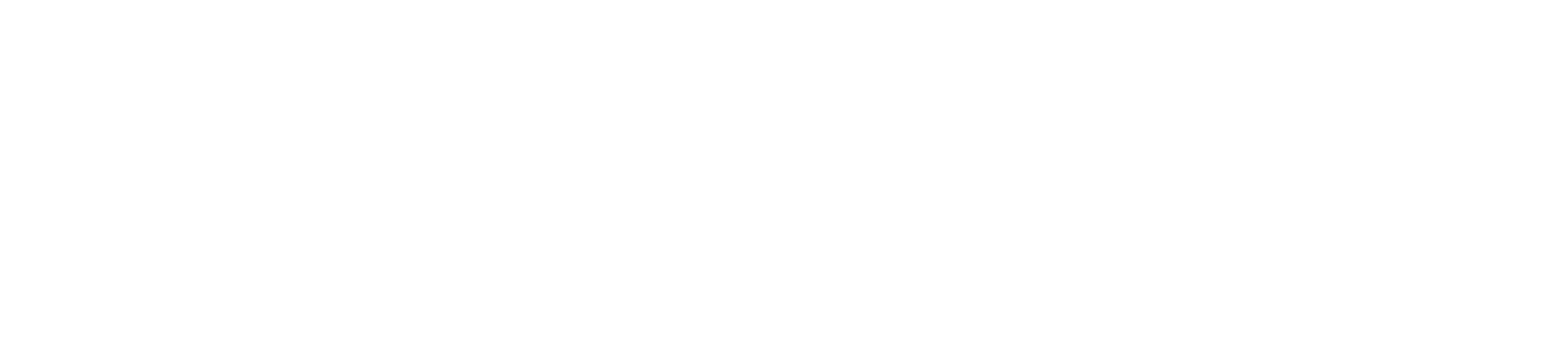RIZZO-ASSOCIATES-LONG_White.png